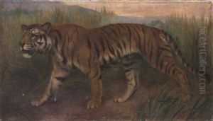 Tiger, Tiger Burning Bright