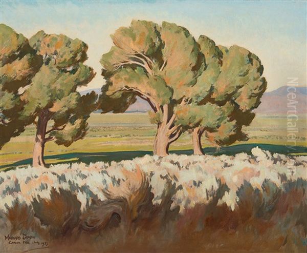 Summer Cottonwoods - view 1