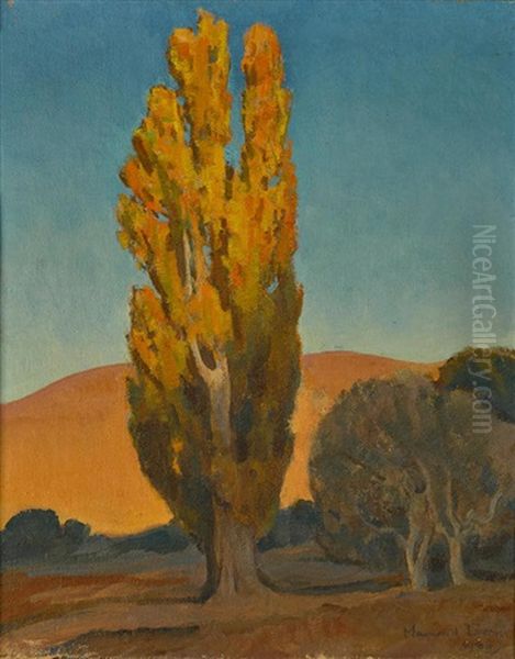 Shifting Light On A Poplar - view 1