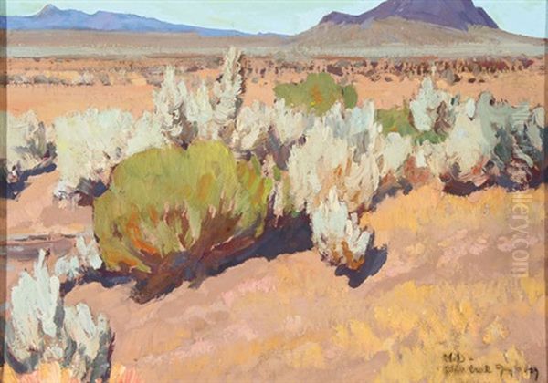 Sage And Rabbit Brush - view 1