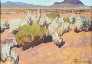 Sage And Rabbit Brush Sage And Rabbit Brush
