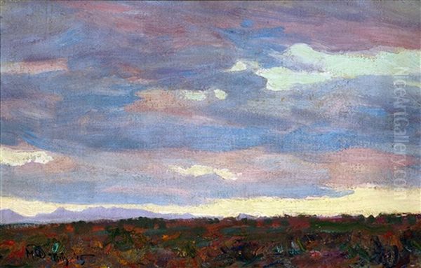 Desert Landscape, Tempe, Arizona - view 1