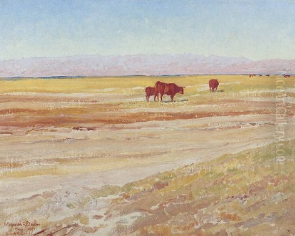 Morning On San Joaquin Plains - view 1