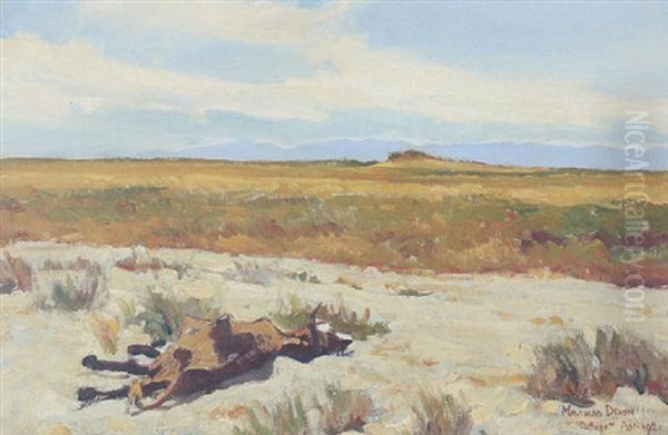 Dry Riverbed (refuge) - view 1