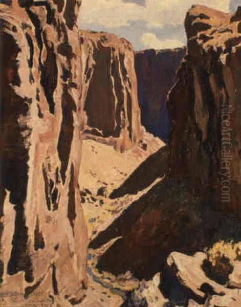 Virgin Creek Gorge, Nevada - view 1