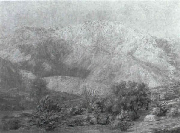 Arizona Landscape - view 1