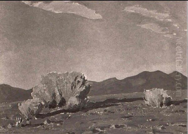 Skies Of New Mexico - view 1