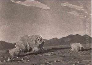 Skies Of New Mexico