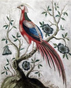 Studies Of Exotic Pheasants by Samuel Dixon