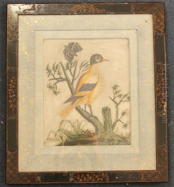 Study Of Birds And Butterflies (2 Works) - view 1
