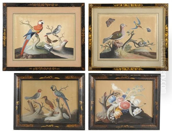 Foreign And Domestic Birds (set Of 4) - view 1