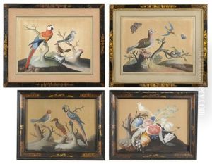Foreign And Domestic Birds (set Of 4) by Samuel Dixon