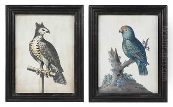 Eagle On A Perch (+ Eagle On A Perch; Pair) - view 1