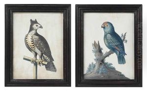 Eagle On A Perch (+ Eagle On A Perch; Pair) by Samuel Dixon