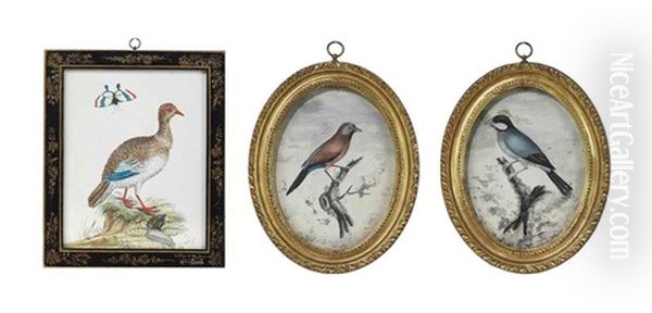 Finch Perched On A Branch (+ 2 Others; 3 Works) - view 1