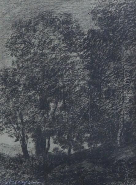 Padure - view 1