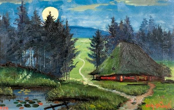 Aargauer Strohdachhaus Unter Nachtlichem Himmel - view 1