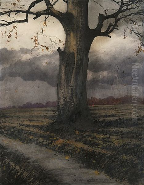 Lonely Tree - view 1