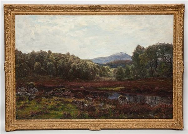 The Rob Roy Burn, Wiith Ben More In The Distance - view 1