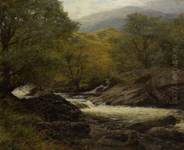Rob Roy's Burn, Luib - view 1