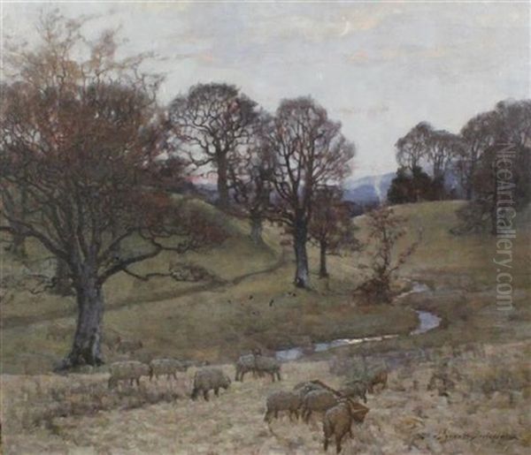 Sheep In A Wooded Valley - view 1