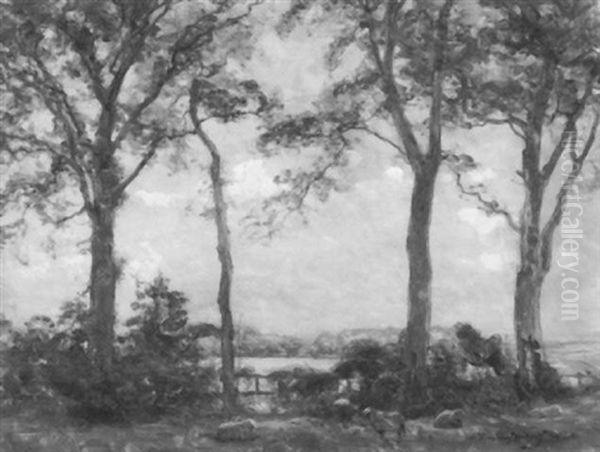 Wooded Landscape - view 1