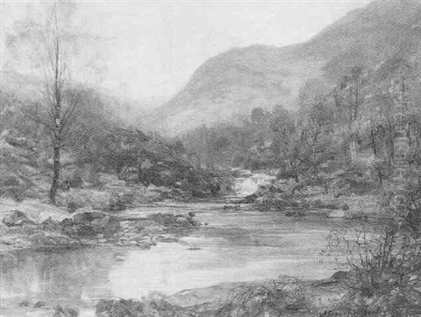 Early Summer, Trossachs, River Achray - view 1