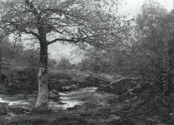 River In Autumn - view 1