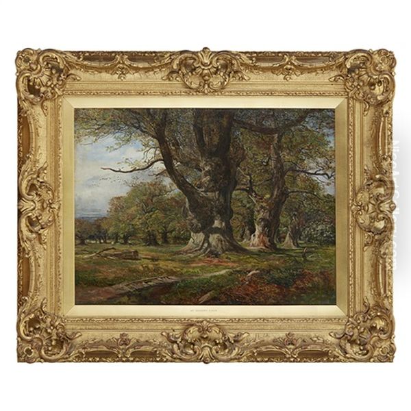 Sheep In An Oak Woodland - view 1