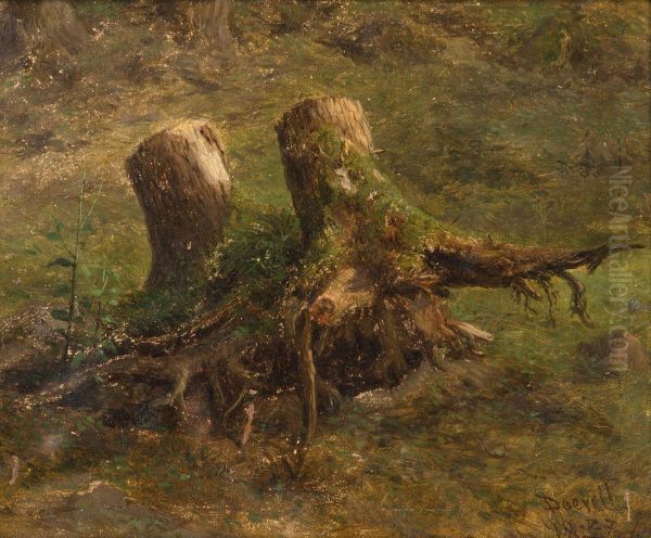 A Study Of Tree Stumps - view 1