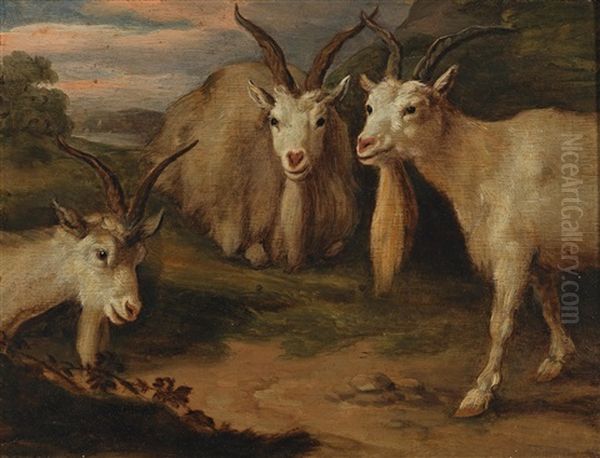 Three Goats In A Landscape - view 1