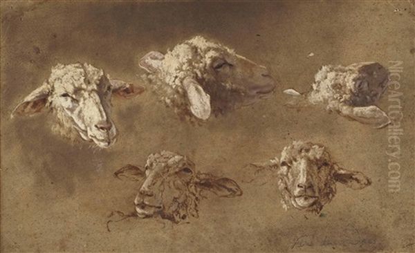 Five Studies Of The Head Of A Sheep - view 1