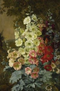 Foxgloves