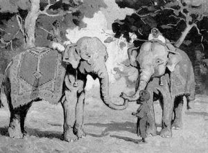 Deux Elephants Et Leur Cornac