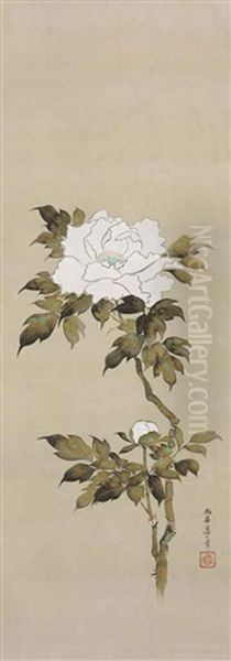 White Peony - view 1