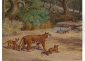 Tigers And Peacocks