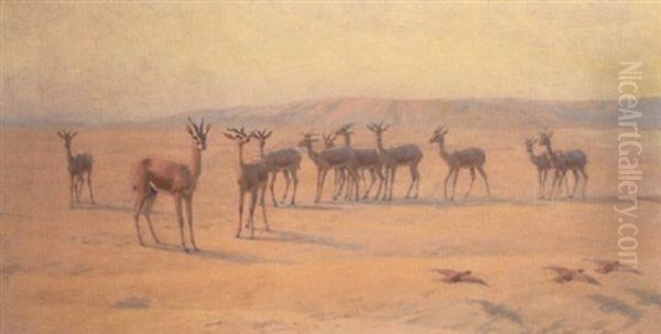 Springbok - view 1