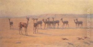Springbok by John Charles Dollman