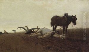The Cruel Land