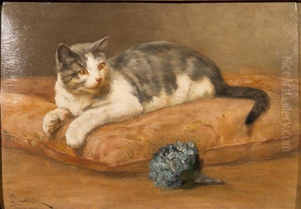 Study Of A Cat - view 1