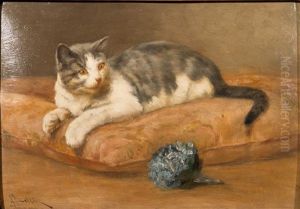 Study Of A Cat by John Henry Dolph