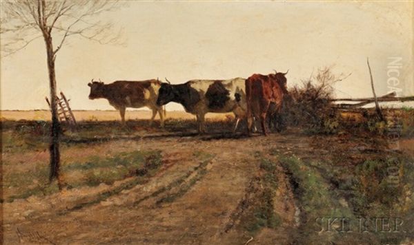 A Trio Of Cattle At Dusk - view 1