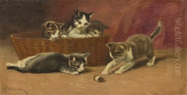 Kittens At Play - view 1