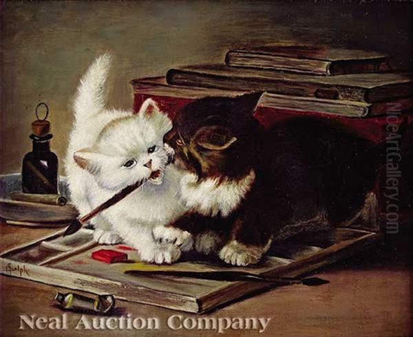 Kittens - view 1