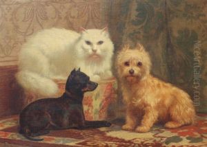 Dogs And Cat by John Henry Dolph