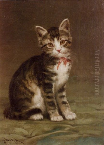 Brown Tabby Kitten With A Rose Bow - view 1