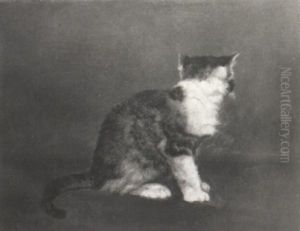 Shy Kitten by John Henry Dolph