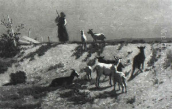 The Goat Pasture - view 1