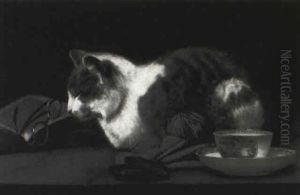Cat Nap by John Henry Dolph