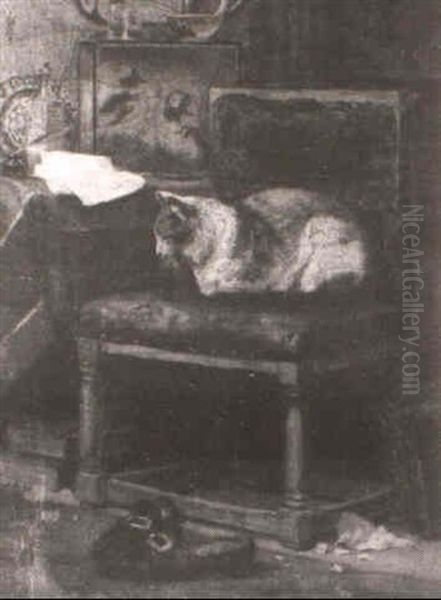 Cat Sleeping On A Green Chair - view 1